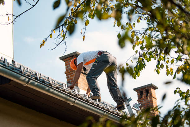 Best New Roof Installation  in Fredonia, WI